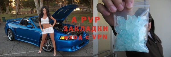 прущие крисы Елизово