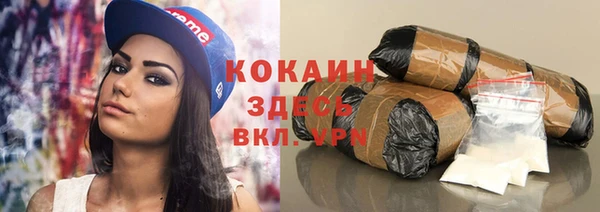 индика Ельня