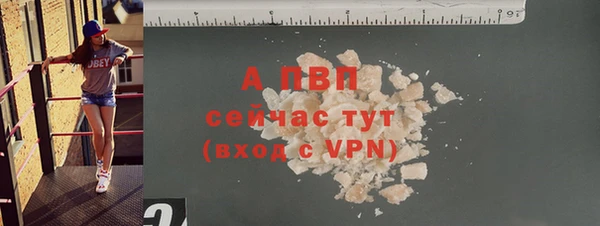 индика Ельня