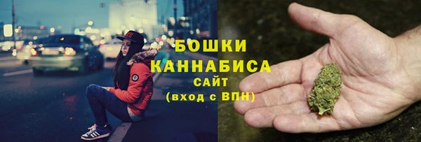 индика Ельня