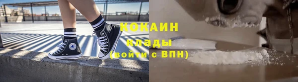 индика Заволжье