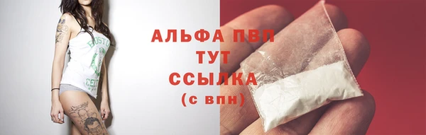 прущие крисы Елизово