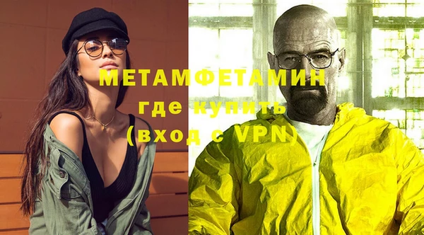 индика Ельня