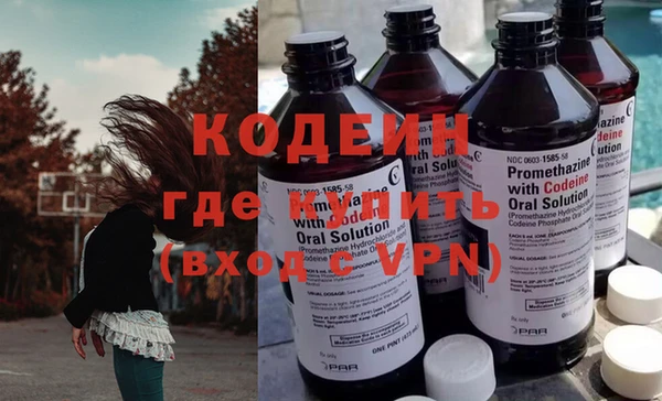 индика Ельня