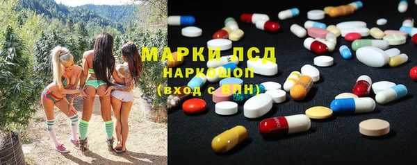 прущие крисы Елизово