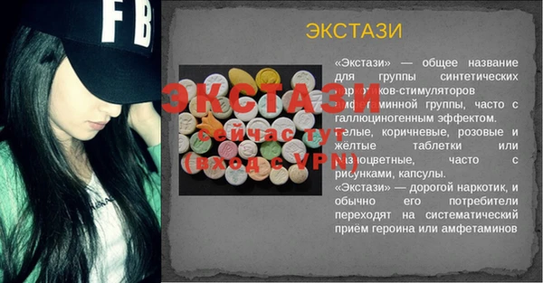 индика Ельня