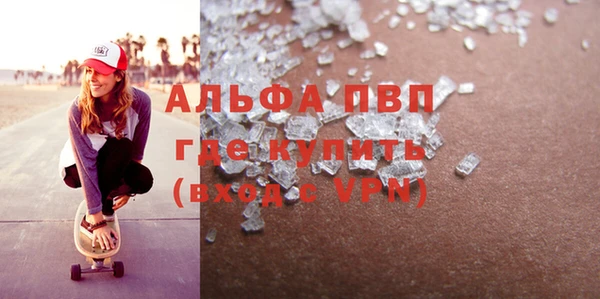 индика Ельня