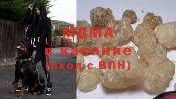 индика Ельня