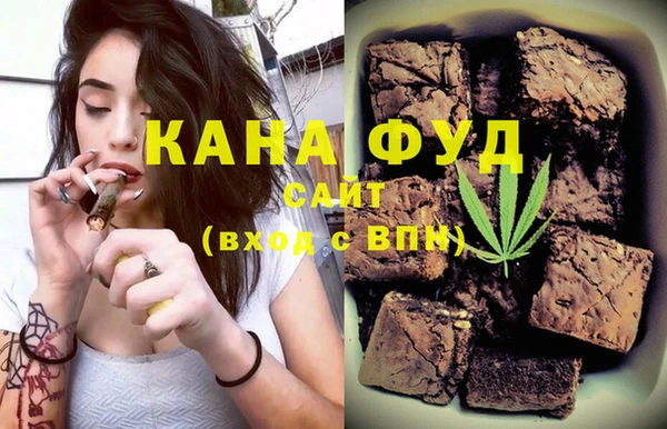 индика Ельня