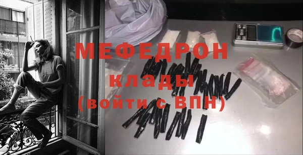 индика Ельня