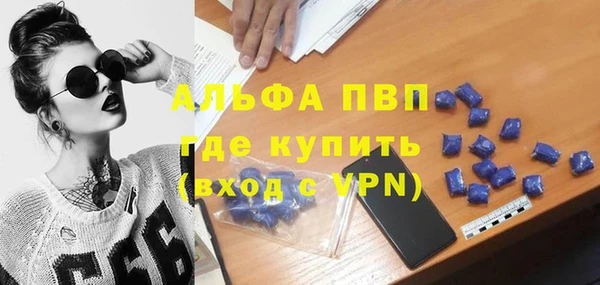 индика Ельня