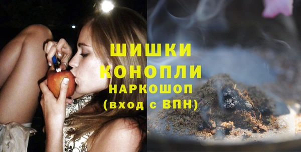 индика Ельня