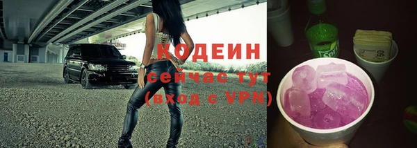 индика Ельня