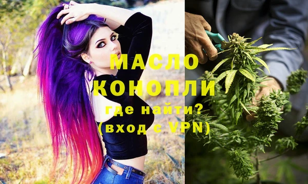 соль ск Елабуга