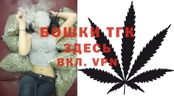 соль ск Елабуга